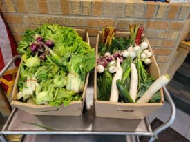 Two cardboard boxes on a metal cart filled with assorted fresh vegetables, including leafy greens, radishes, onions, zucchini, and colorful Swiss chard, set against a brick wall with part of an American flag visible.
