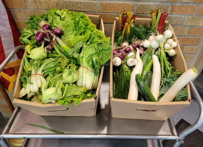 Two cardboard boxes on a metal cart filled with assorted fresh vegetables, including leafy greens, radishes, onions, zucchini, and colorful Swiss chard, set against a brick wall with part of an American flag visible.