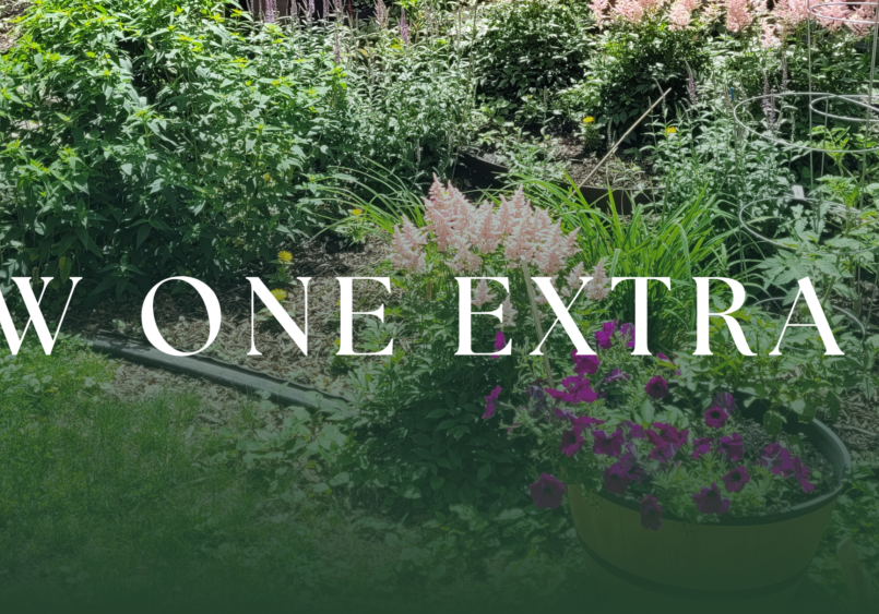 A lush vegetable and flower garden fills the frame, with raised beds, leafy tomato plants, herbs, flowering perennials, and a large container of purple petunias in the foreground. A soft dark green gradient overlays the bottom of the image, and large white serif text across the center reads, "GROW ONE EXTRA ROW." The banner has a calm, inviting feel and promotes growing additional produce to share with neighbors in need.